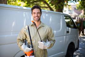 Real Estate Pest Inspections in Manton, MI